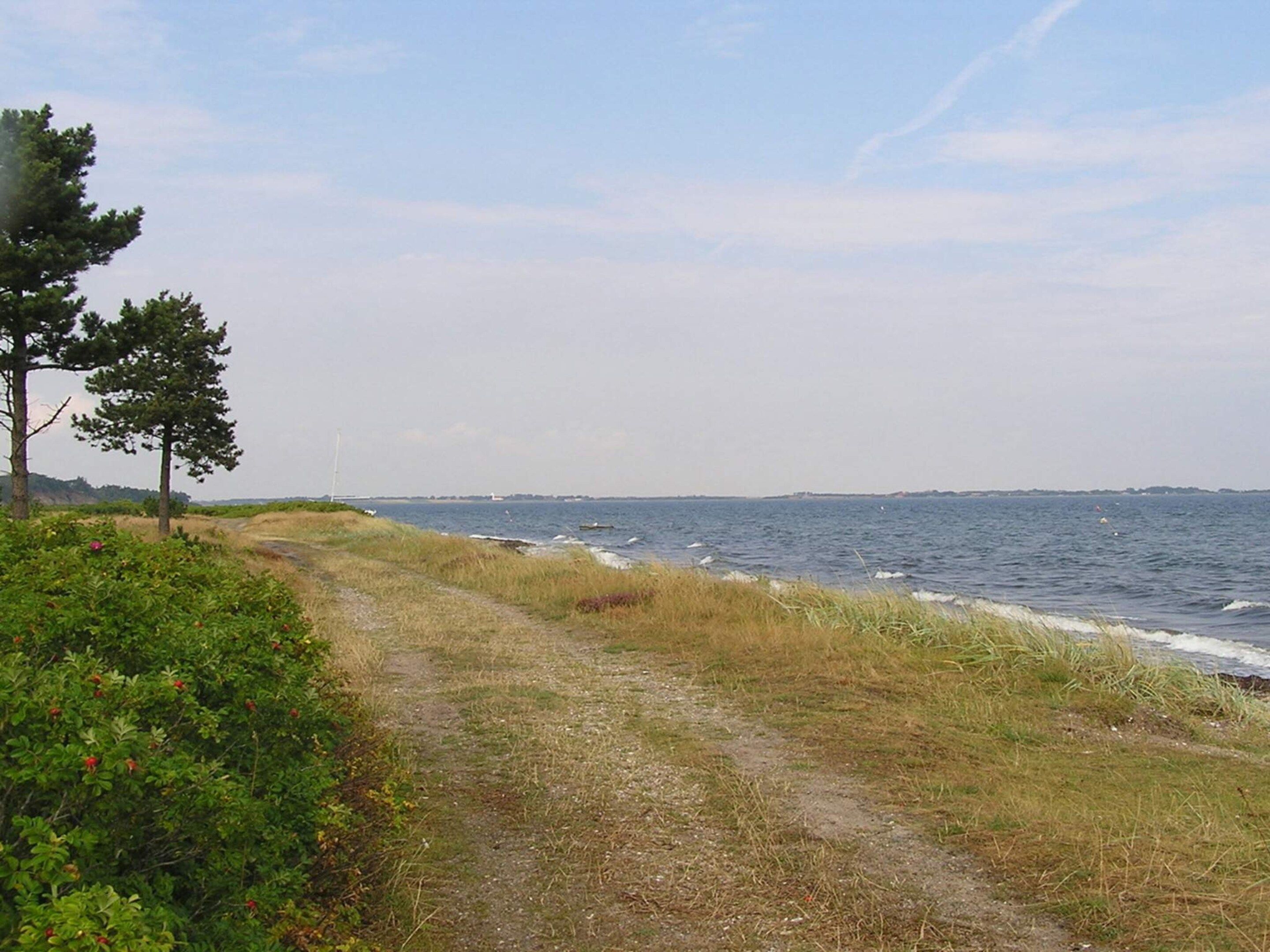 Un sentier côtier bordé d’herbe et d’arbustes, qui mène à la mer.