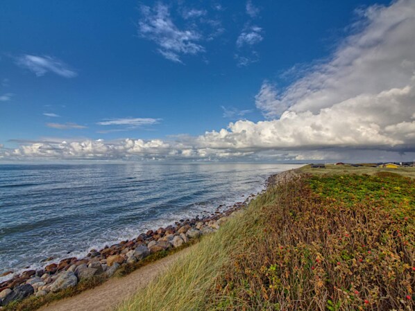 A coastal landscape with a rocky shoreline, grassy dunes, and a clear sky.