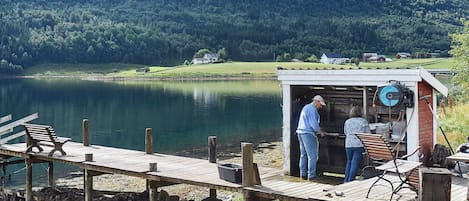 House | Property grounds