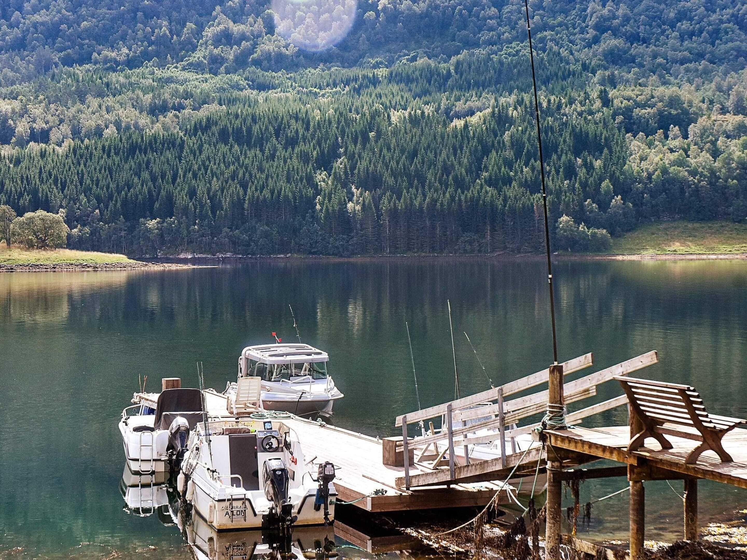 Un muelle con barcos, un embarcadero de madera y una ladera boscosa al fondo.
