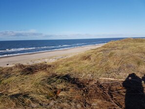 A beach with waves, grassy dunes, and a clear sky.