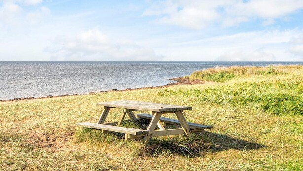 A picnic table on a grassy area near a body of water.