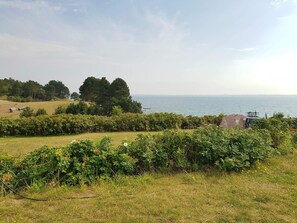 House | Property grounds