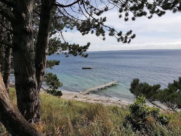 A coastal view with a wooden pier extending into the sea, surrounded by pine trees and grassy terrain.