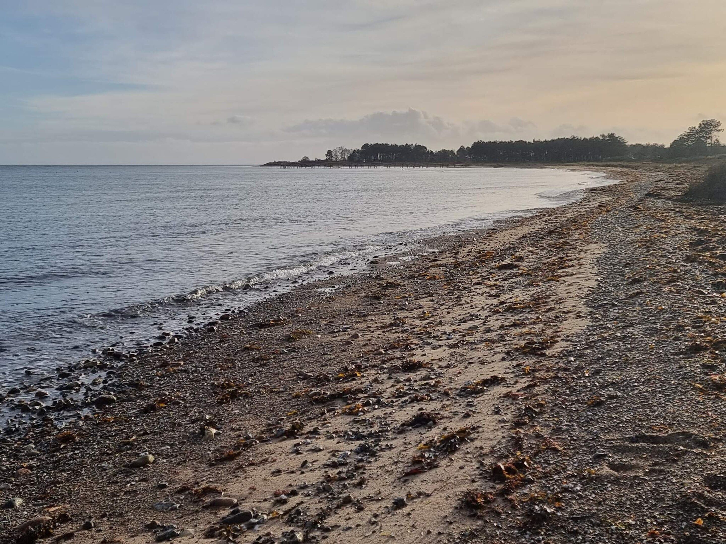 A beach with pebbles and seaweed, a calm sea, and a distant tree line.