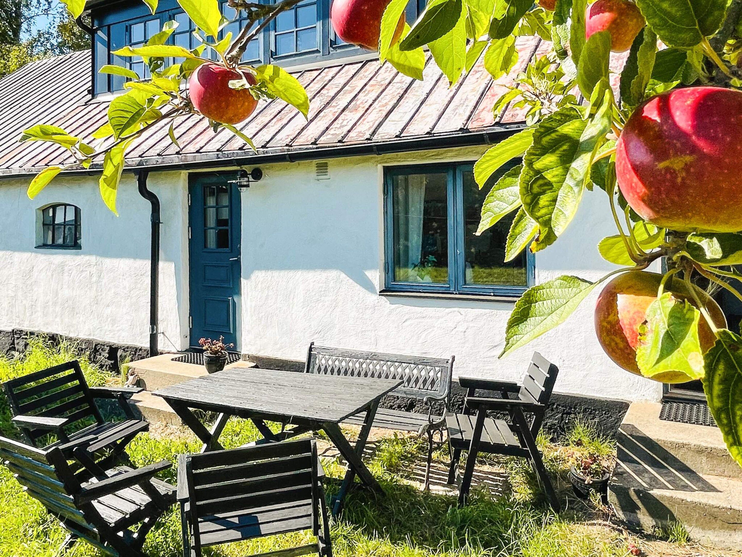 A white building with a blue door and windows, surrounded by a garden with a table and chairs.