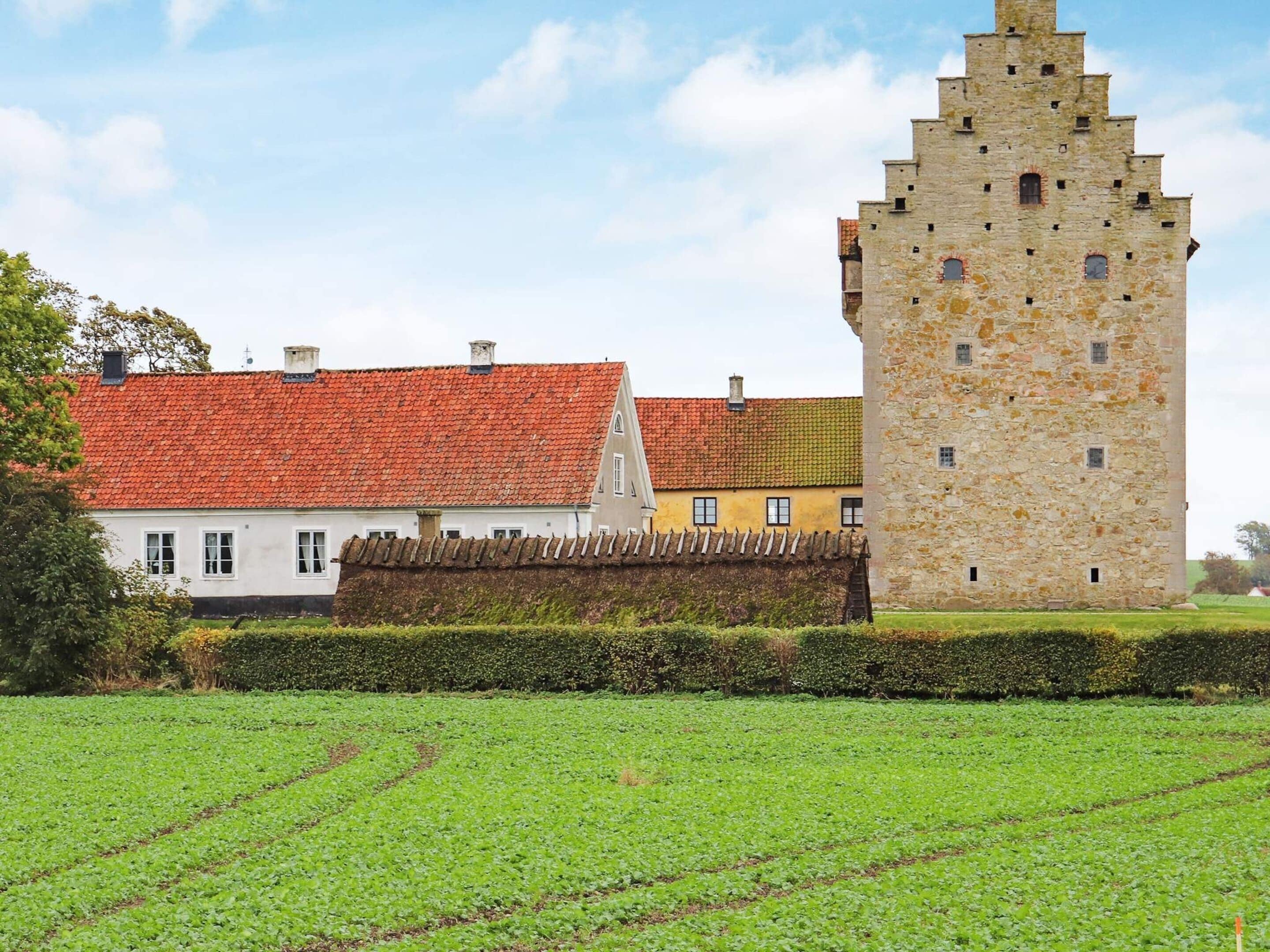 独立别墅 | 外观