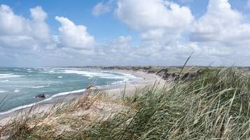 Eine Küstenlandschaft mit Sandstrand, grasbewachsenen Dünen und blauem Himmel.