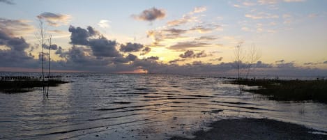Escena costera con un atardecer, agua tranquila y vegetación escasa.