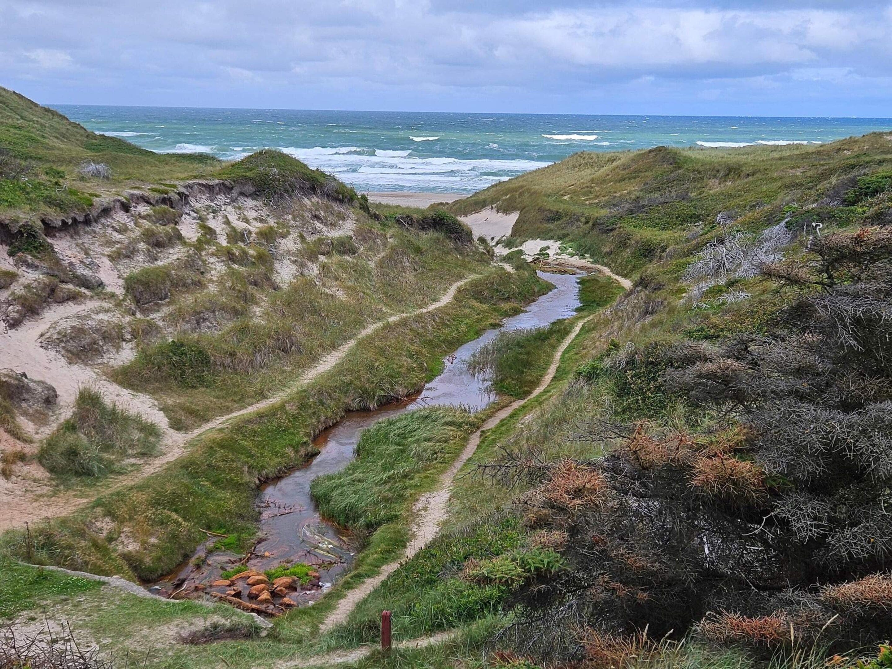 A coastal landscape with a narrow water channel, sandy areas, and grassy terrain.