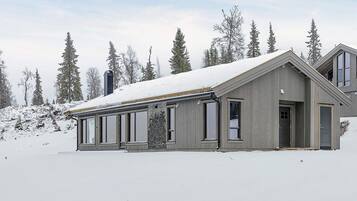 A two-story cabin with a sloped roof, large windows, and a chimney.