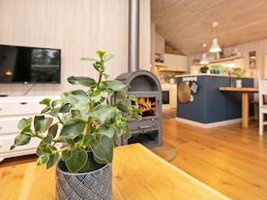 A modern living room with a wooden floor, a TV, a fireplace, and a potted plant.