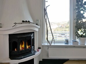 Kamin, DVD-Player