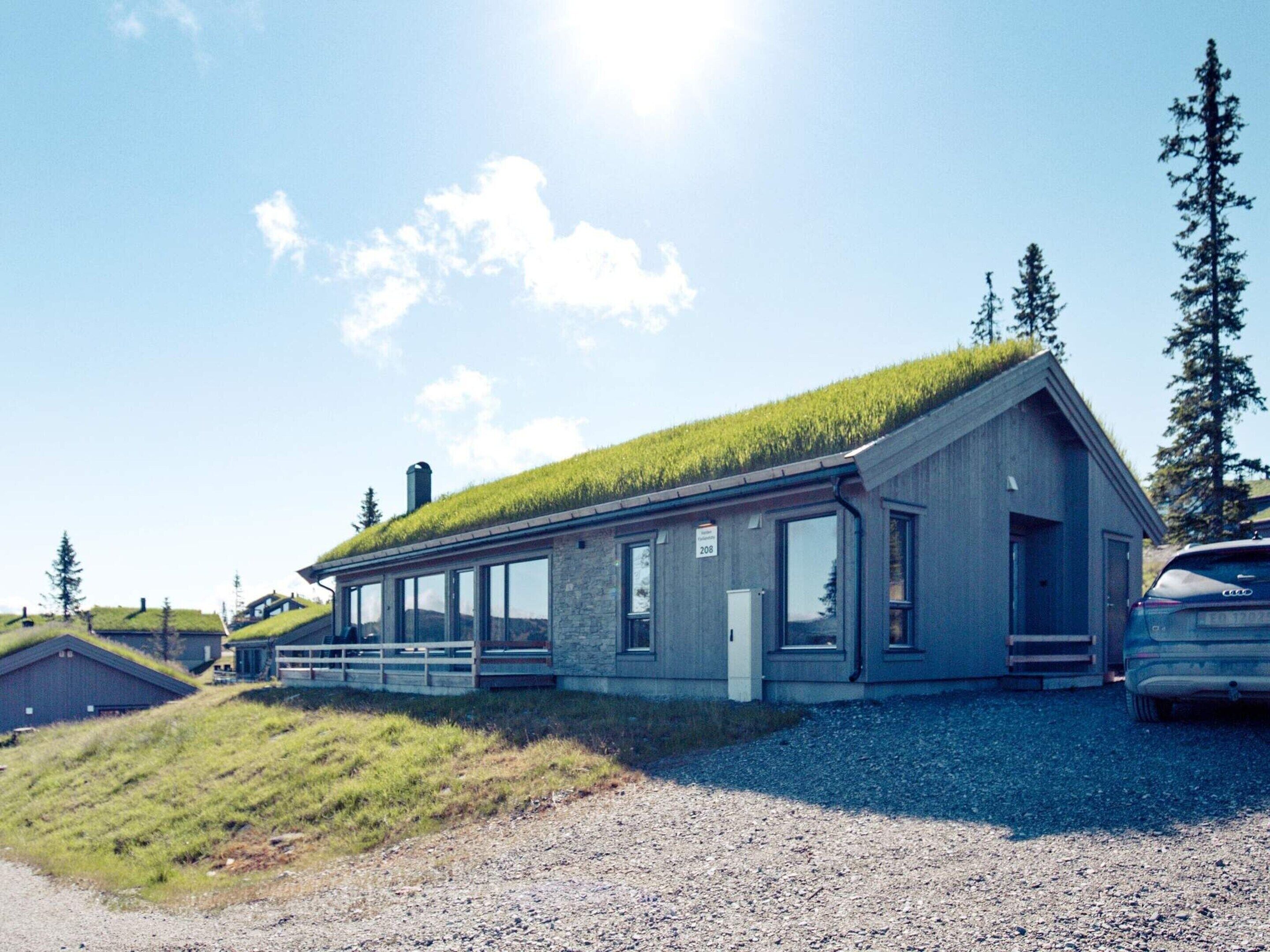 A modern building with a grass roof, large windows, and a gravel driveway.