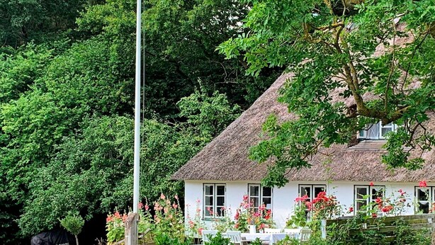 A white house with a thatched roof, surrounded by lush greenery and flowering plants.