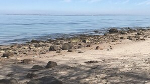 A rocky beach with calm water and a clear sky.