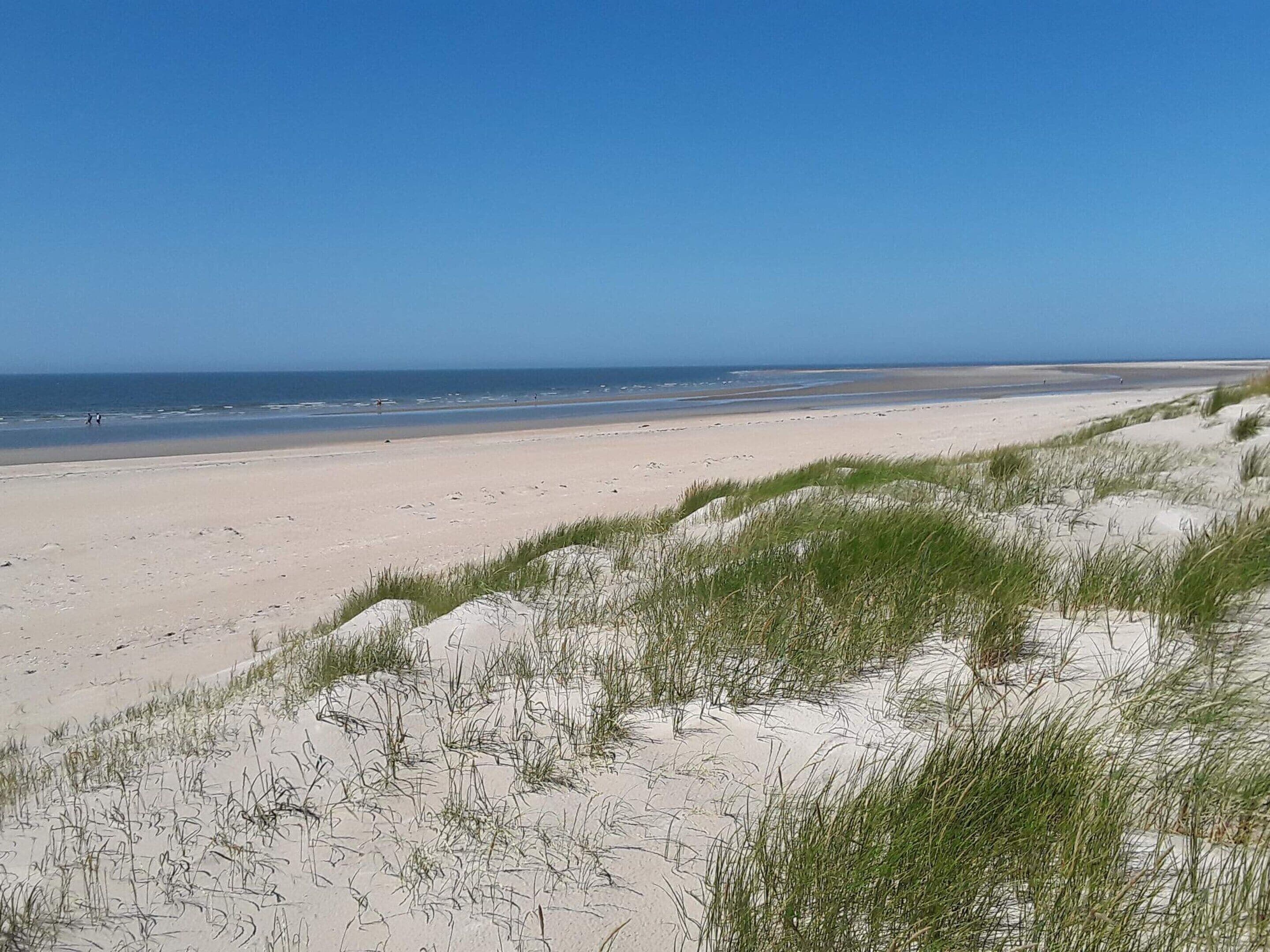 A beach with sand dunes and a clear blue sky.