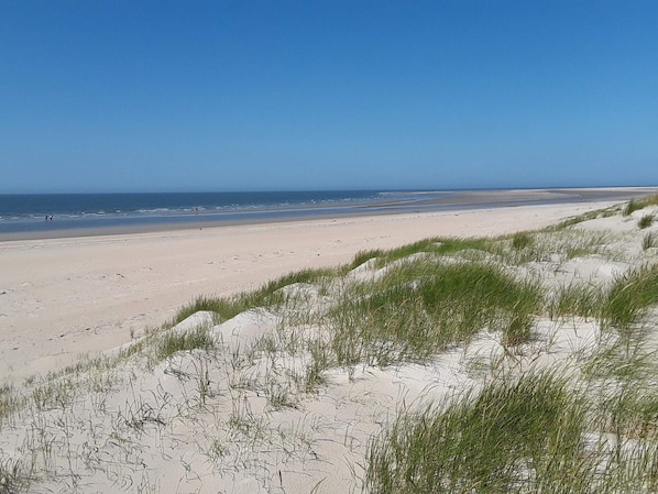A beach with sand dunes and a clear blue sky. - Holiday Home in Rømø (Rømø)