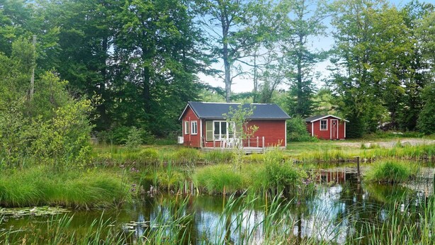 Une cabane rouge dotée d’un porche et d’un petit abri, entourée d’un étang et d’une végétation luxuriante.