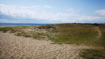 House | Beach