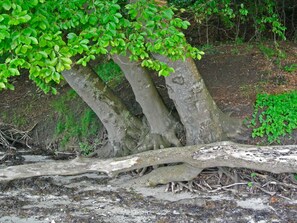 House | Exterior detail