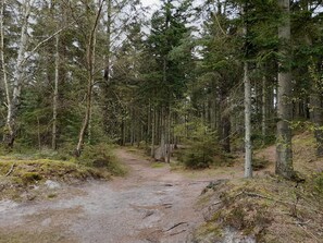 House | Miscellaneous