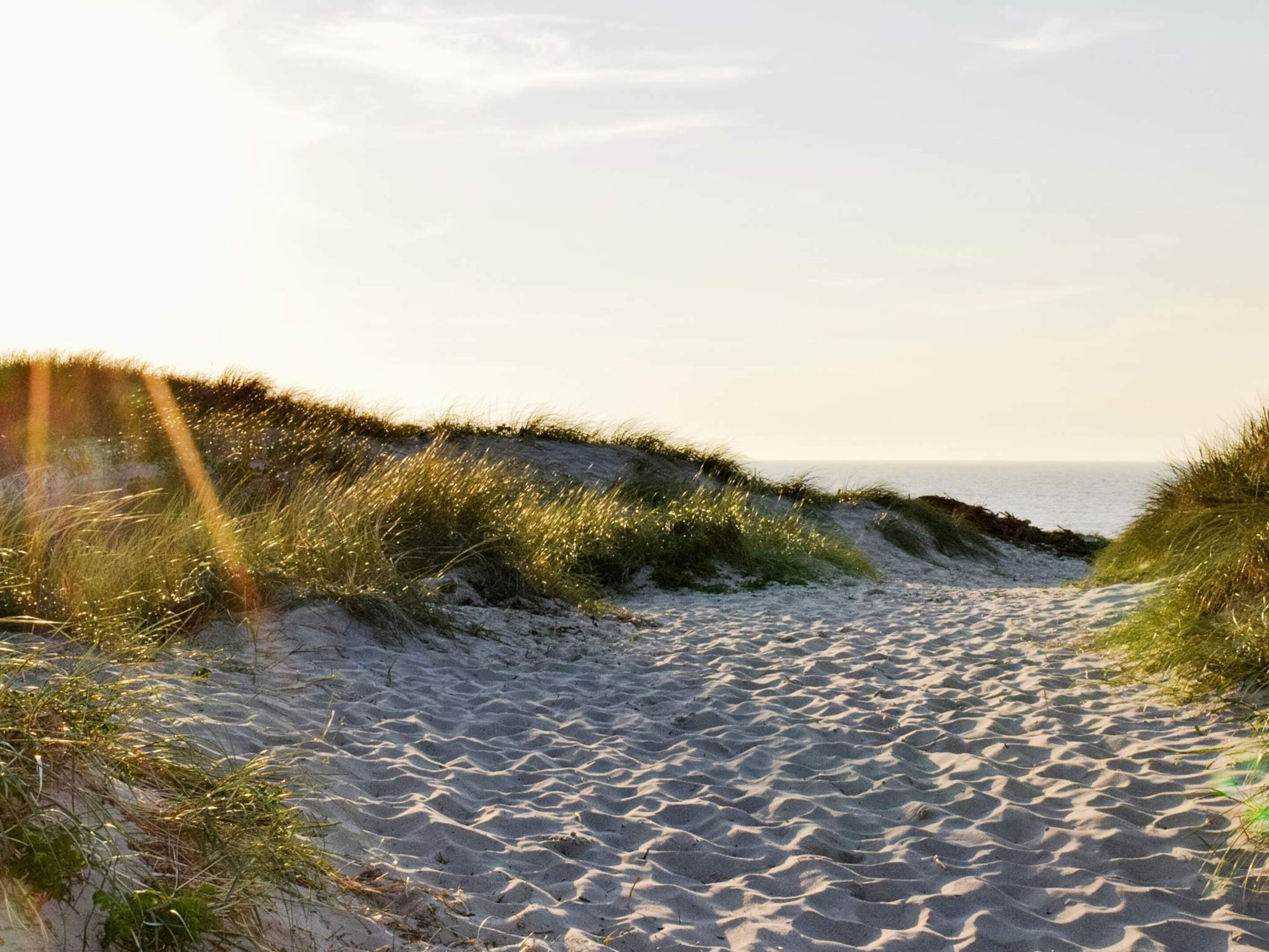 Hus | Utsikt fra overnattingsstedet