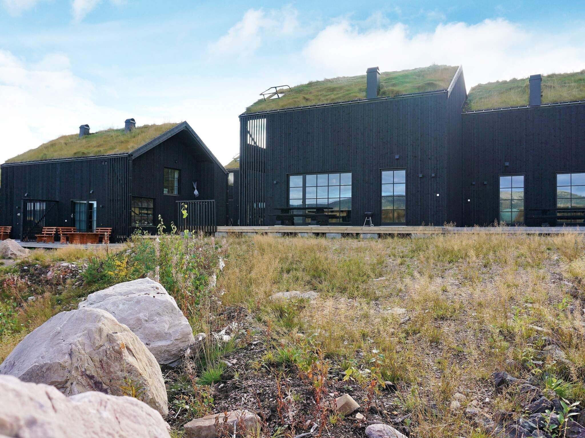 Eksteriør