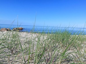 Une plage avec du sable et de l’herbe au premier plan, et un ciel bleu dégagé.
