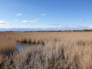 House | Miscellaneous - 5 Person Holiday Home in Otterup (Otterup)