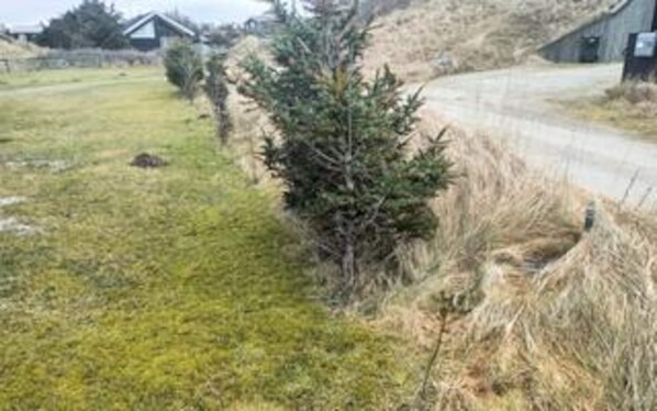Property grounds - Simplistic Holiday Home in Blokhus near Sea (Blokhus)