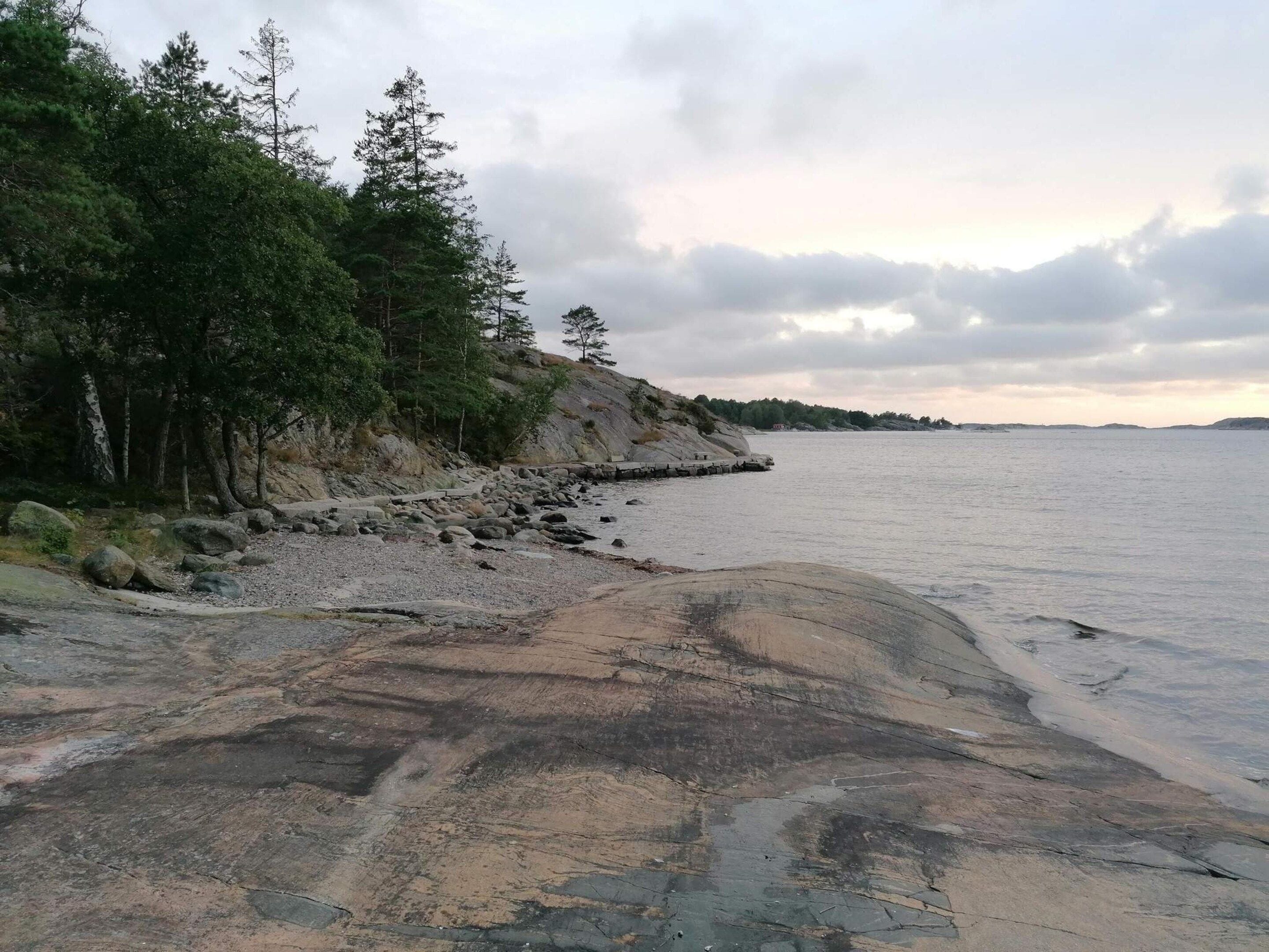 A rocky shoreline with trees and a calm sea.