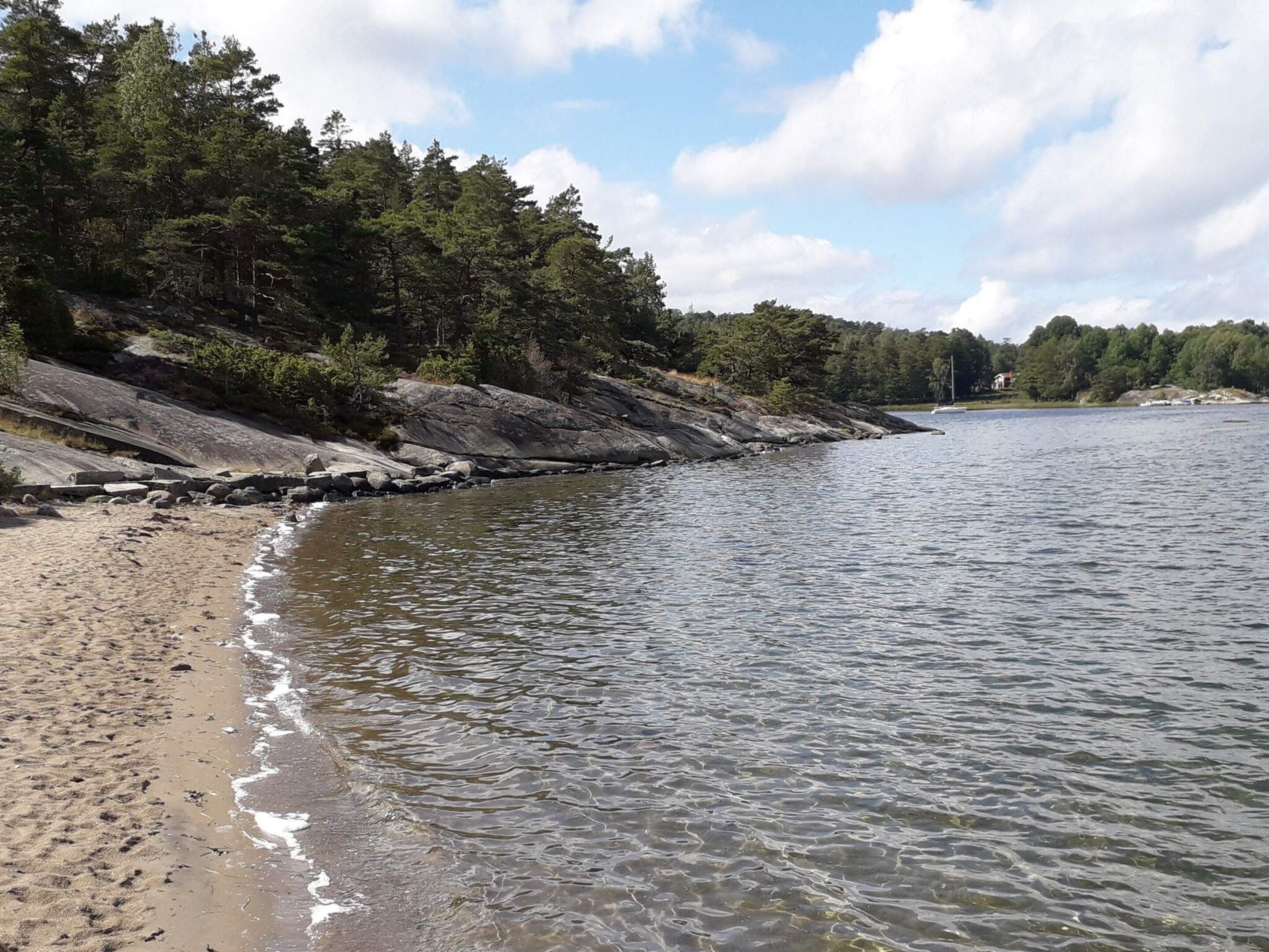Una costa natural con una playa arenosa, afloramientos rocosos y un bosque denso.