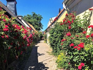 House | Property grounds