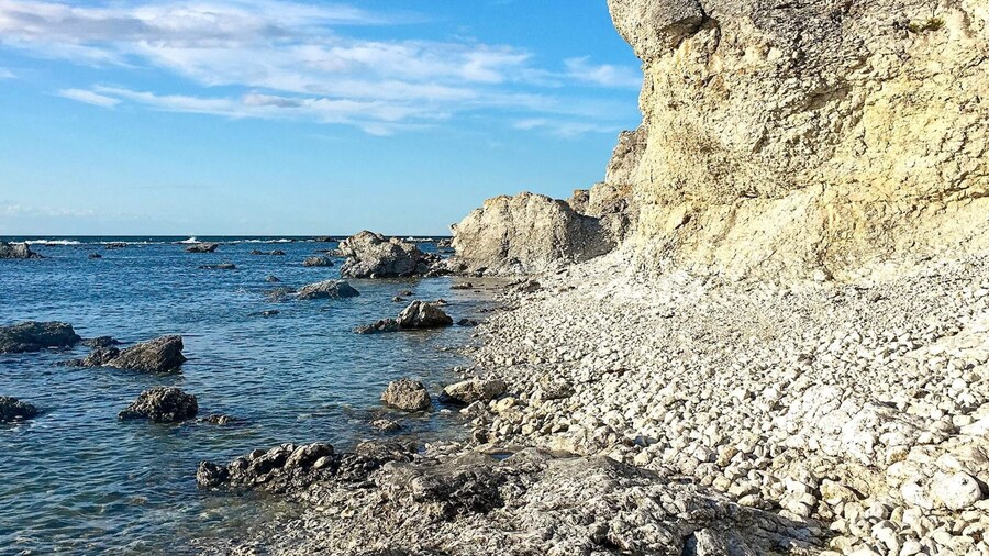 4 Person Holiday Home in Gotlands.tofta