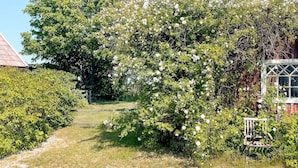 A garden with a pathway leading to a wooden bench. - 4 Person Holiday Home in Gotlands.tofta (Gotlands Tofta)