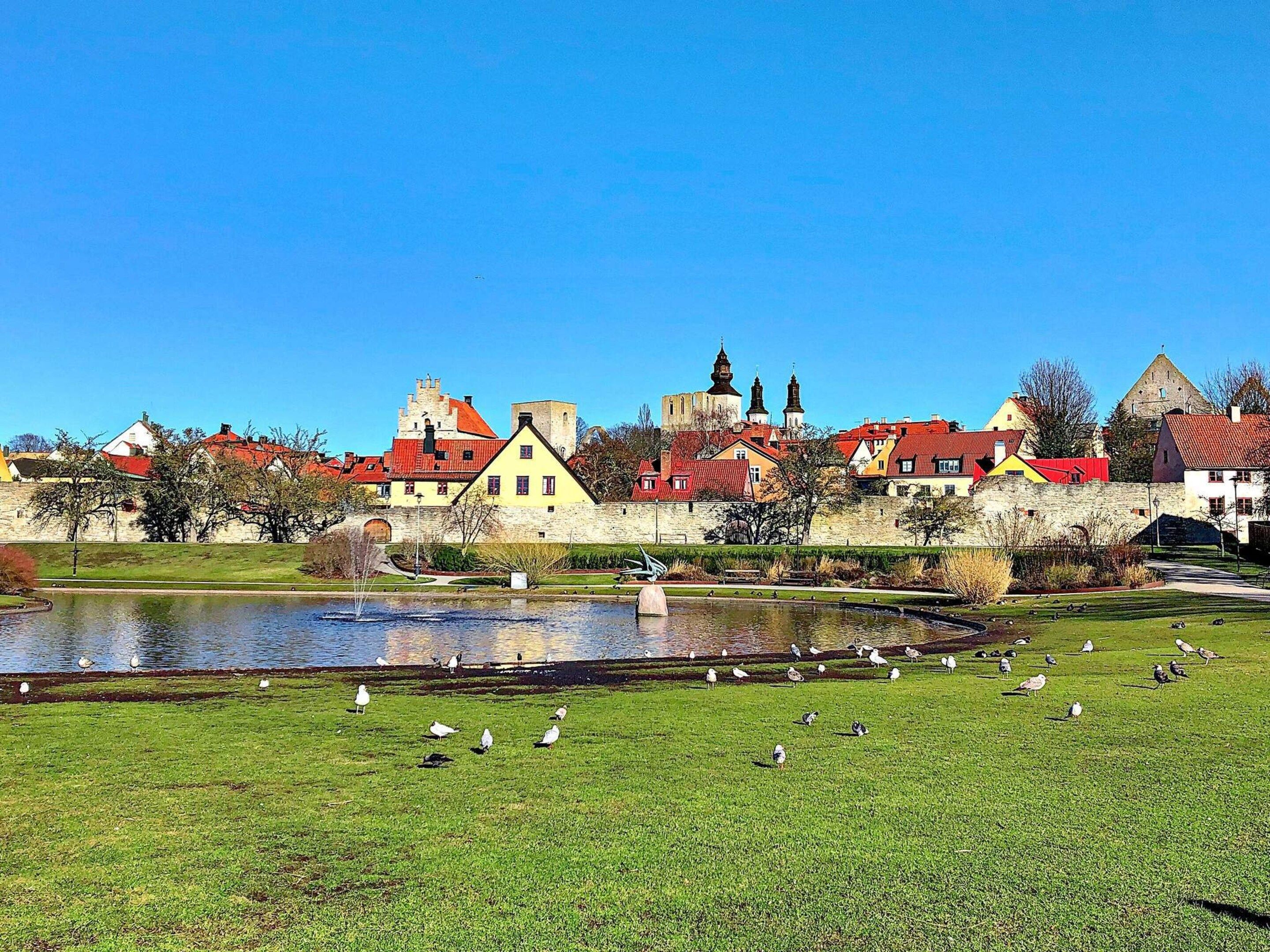 A historic town with a moat, buildings with red roofs, and a grassy area with seagulls.
