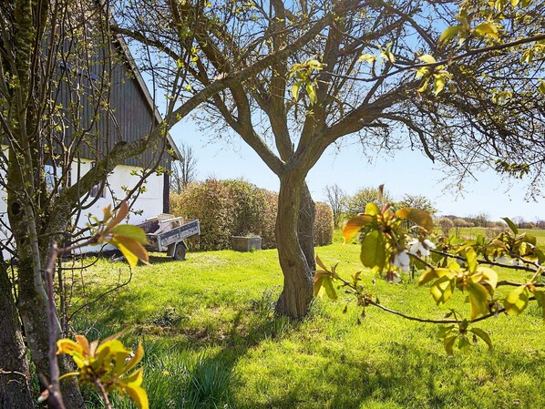 A rural landscape with a barn, a tree, and a truck in a grassy field.
