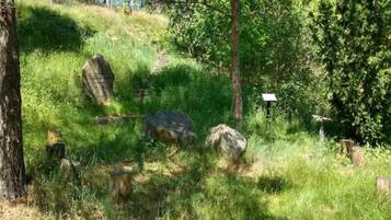 House | Property grounds