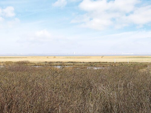 18 Person Holiday Home in Ringkobing