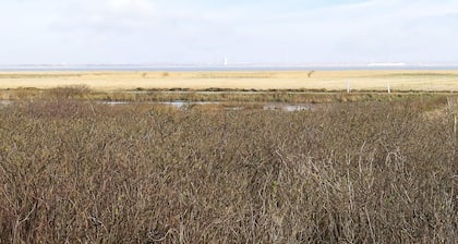 18 Person Holiday Home in Ringkobing