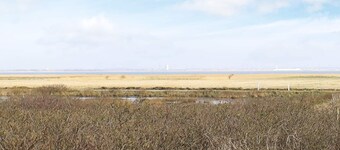 18 Person Holiday Home in Ringkobing