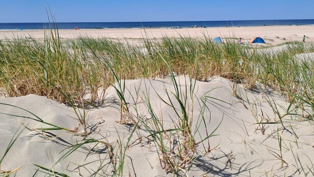 A beach with sand dunes and a clear blue sky. - 4 Star Holiday Home in Romo (Rømø)
