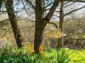 A hammock hanging from a tree in a natural setting with tulips and greenery around.