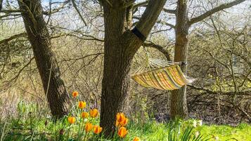 Rumah | Pemandangan dari properti