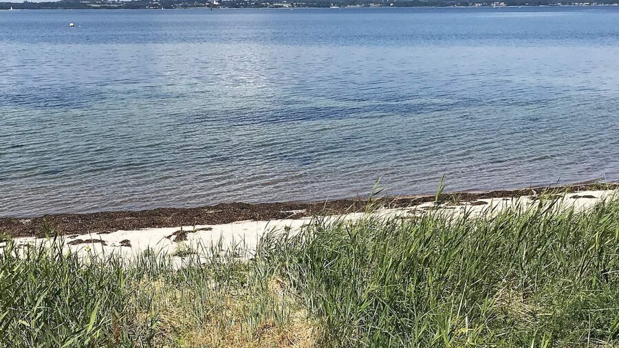 6 Person Holiday Home in Broager