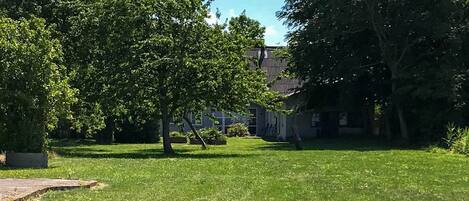 House | Property grounds