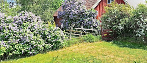 A red barn with a sloped roof, surrounded by lush greenery and flowering bushes.