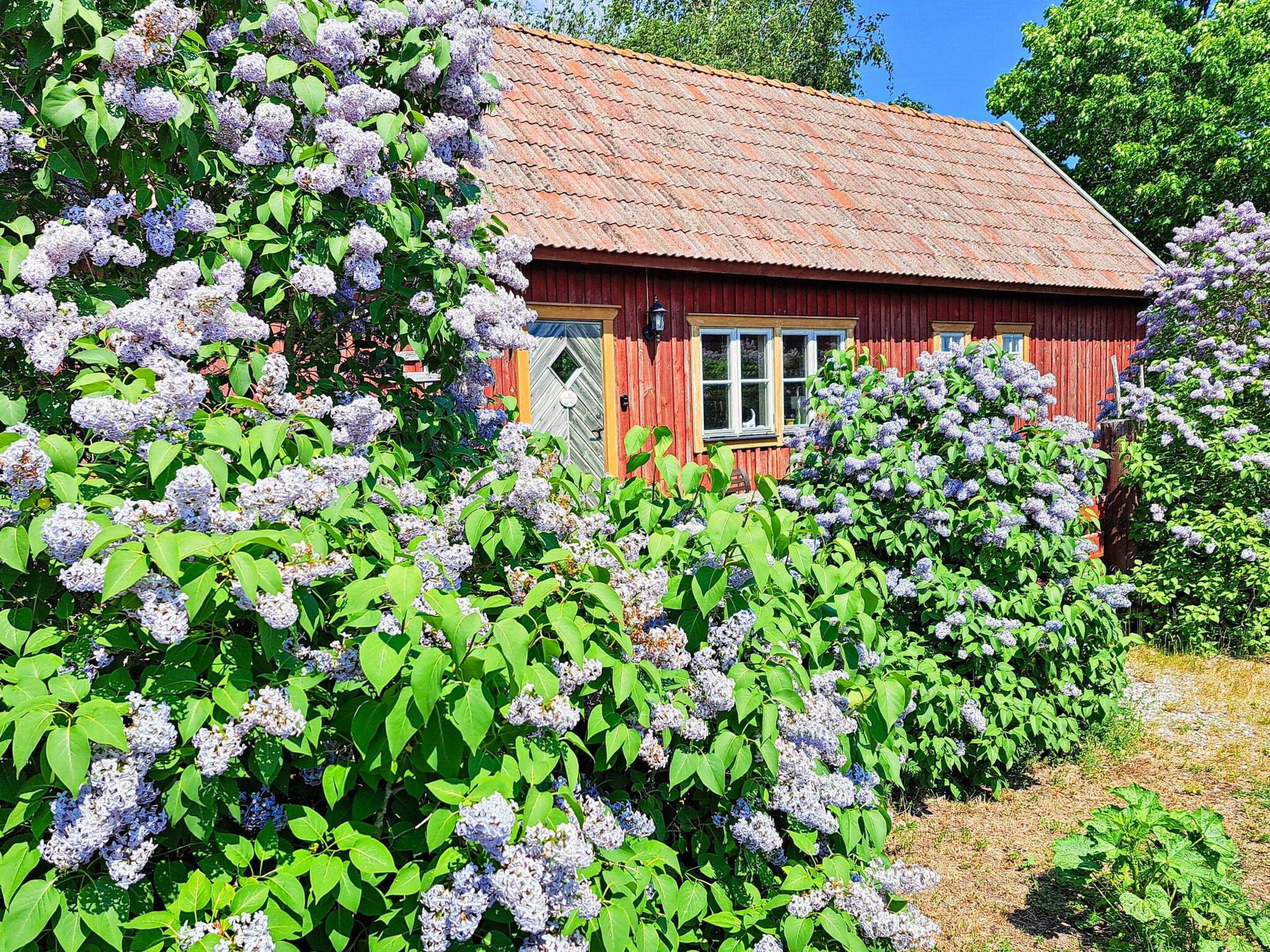 A red wooden house with a tiled roof, surrounded by lush green foliage and clusters of purple flowers.