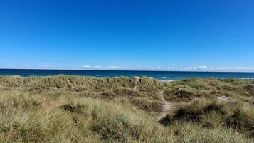 A coastal landscape with a clear sky and a grassy path leading to the sea.